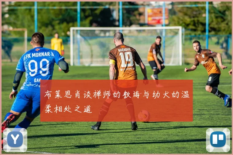 布莱恩肖谈禅师的教诲与幼犬的温柔相处之道