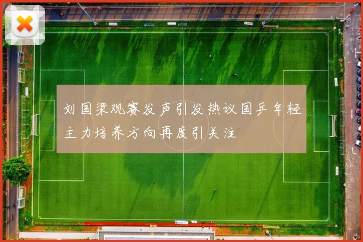 刘国梁观赛发声引发热议国乒年轻主力培养方向再度引关注