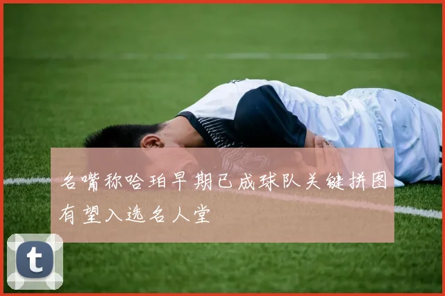 名嘴称哈珀早期已成球队关键拼图有望入选名人堂
