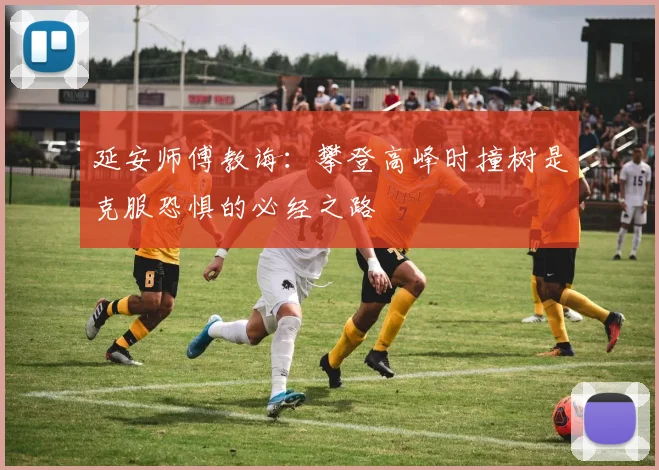 延安师傅教诲：攀登高峰时撞树是克服恐惧的必经之路